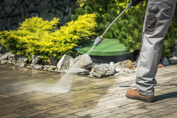 Animal Enclosure Cleaning in Butler Beach, FL