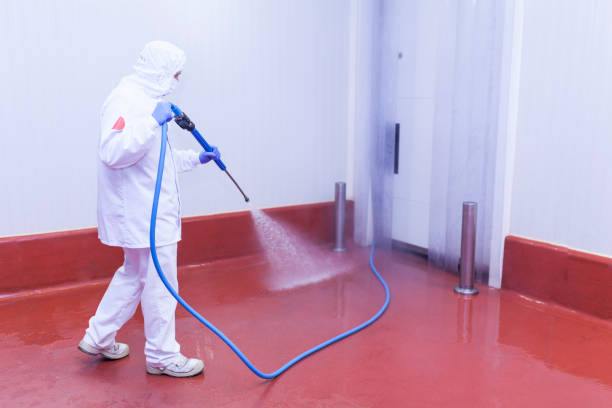 Paint Preparation in Butler Beach, FL